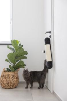 Sisalsäule Soft zum Aufhängen - Kratzsäule für Katzen zum Spielen, Jagen und Krallenwetzen